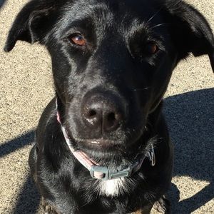 Meet your Posher, Gabrielle